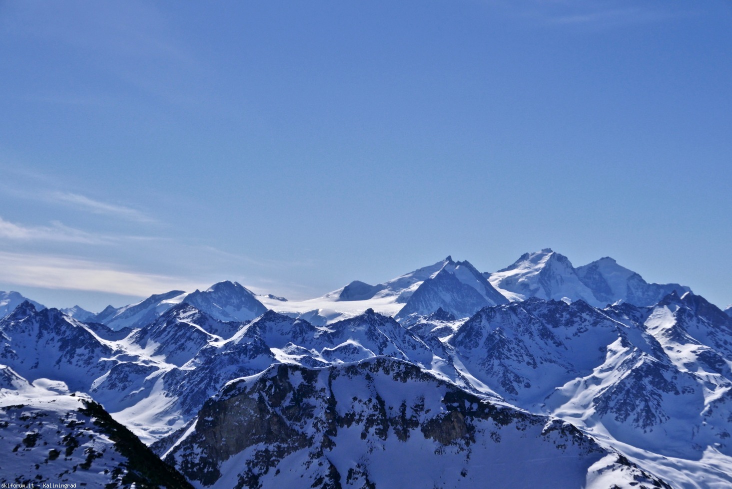 240289-l1010972.jpg