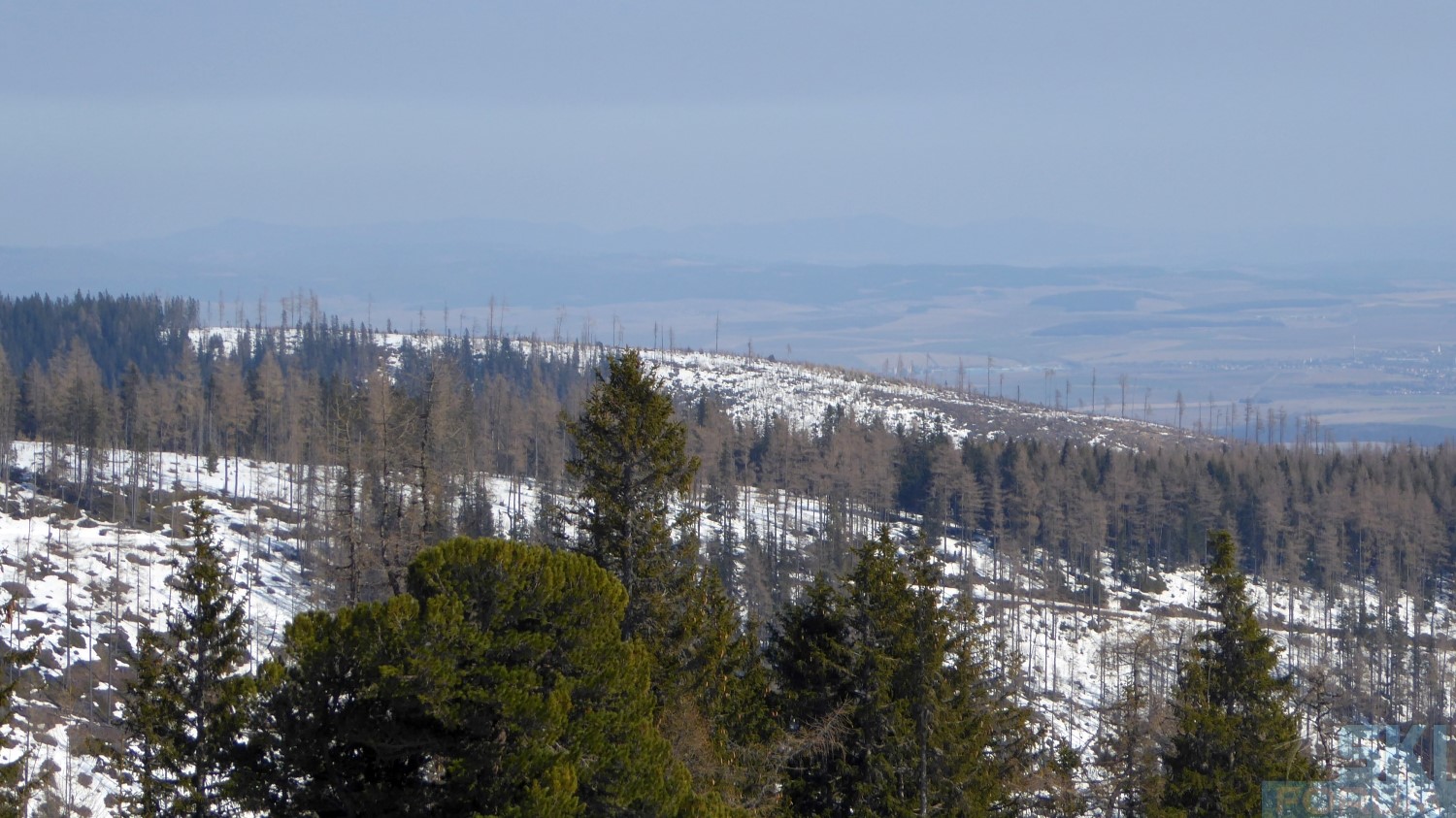 240942-ski-vysoke-tatry-slovensko-121.jpg