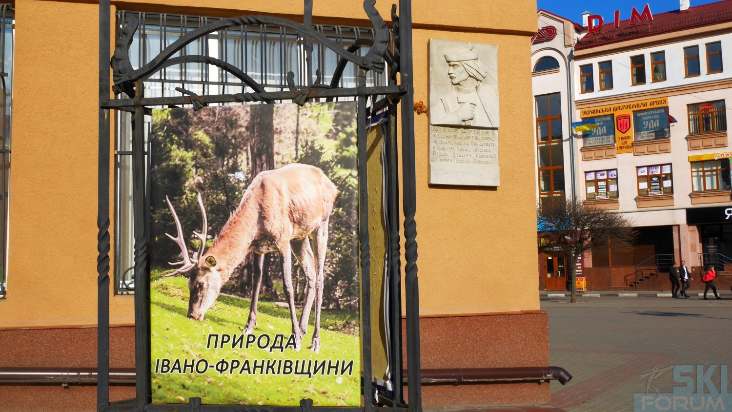 241174-ivano-frankivsk-39.jpg