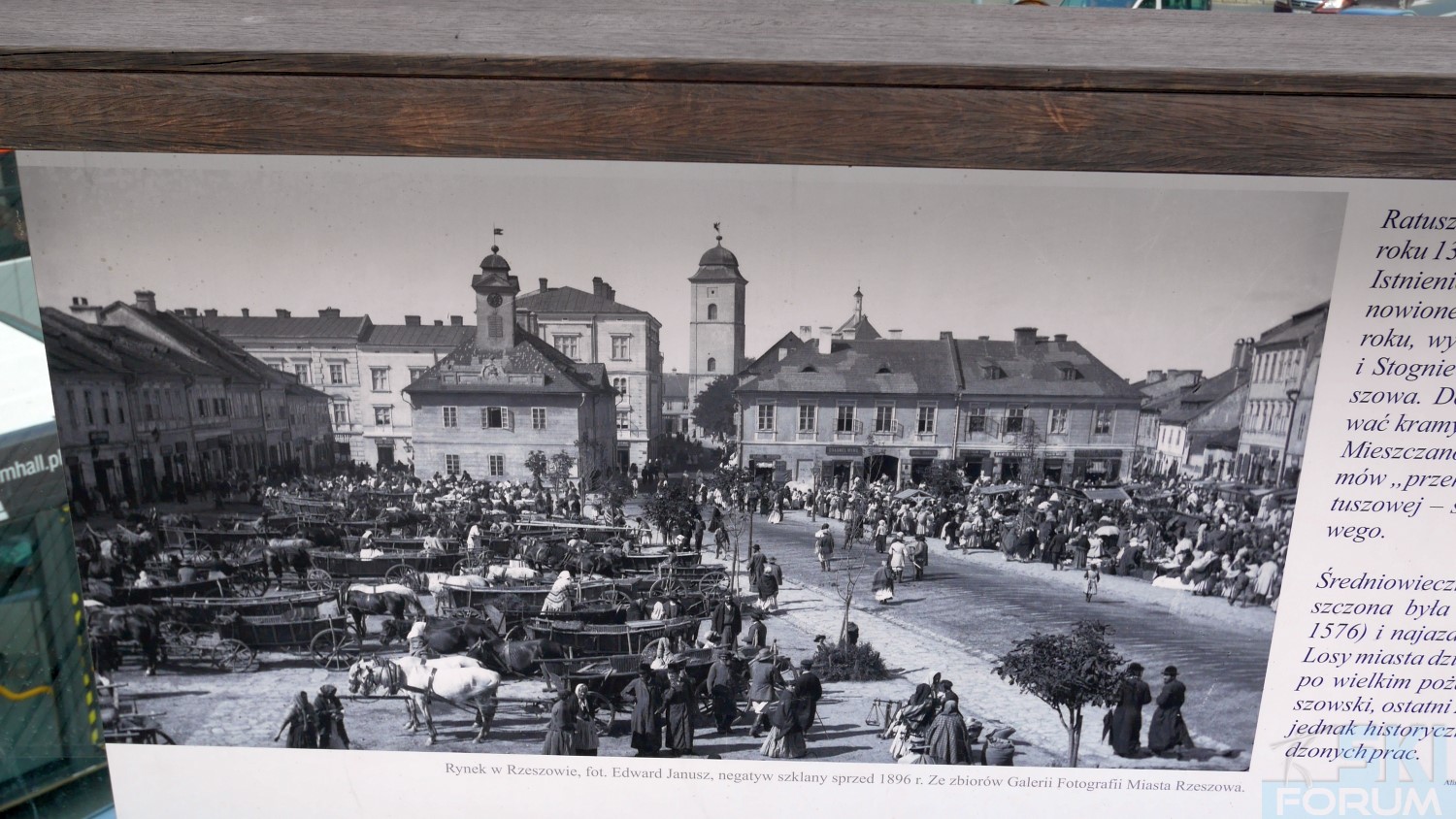 241688-rzeszow-polonia-3.jpg