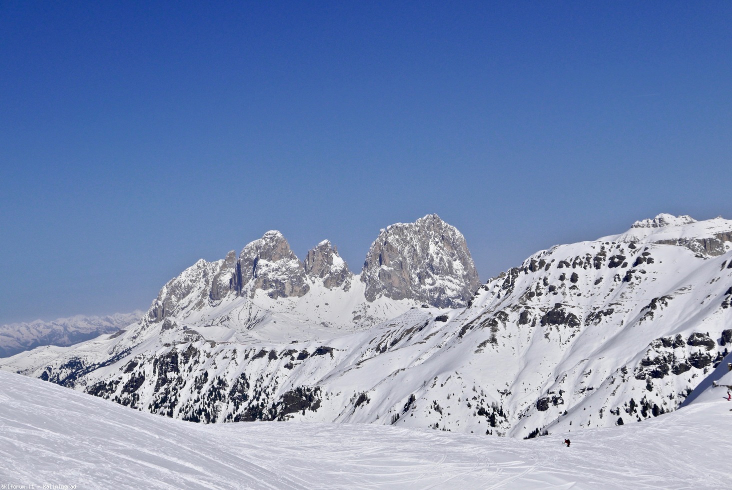 242249-l1020013.jpg