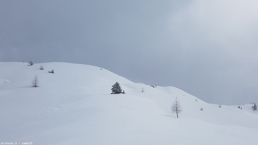 242491-20190505162655.jpg