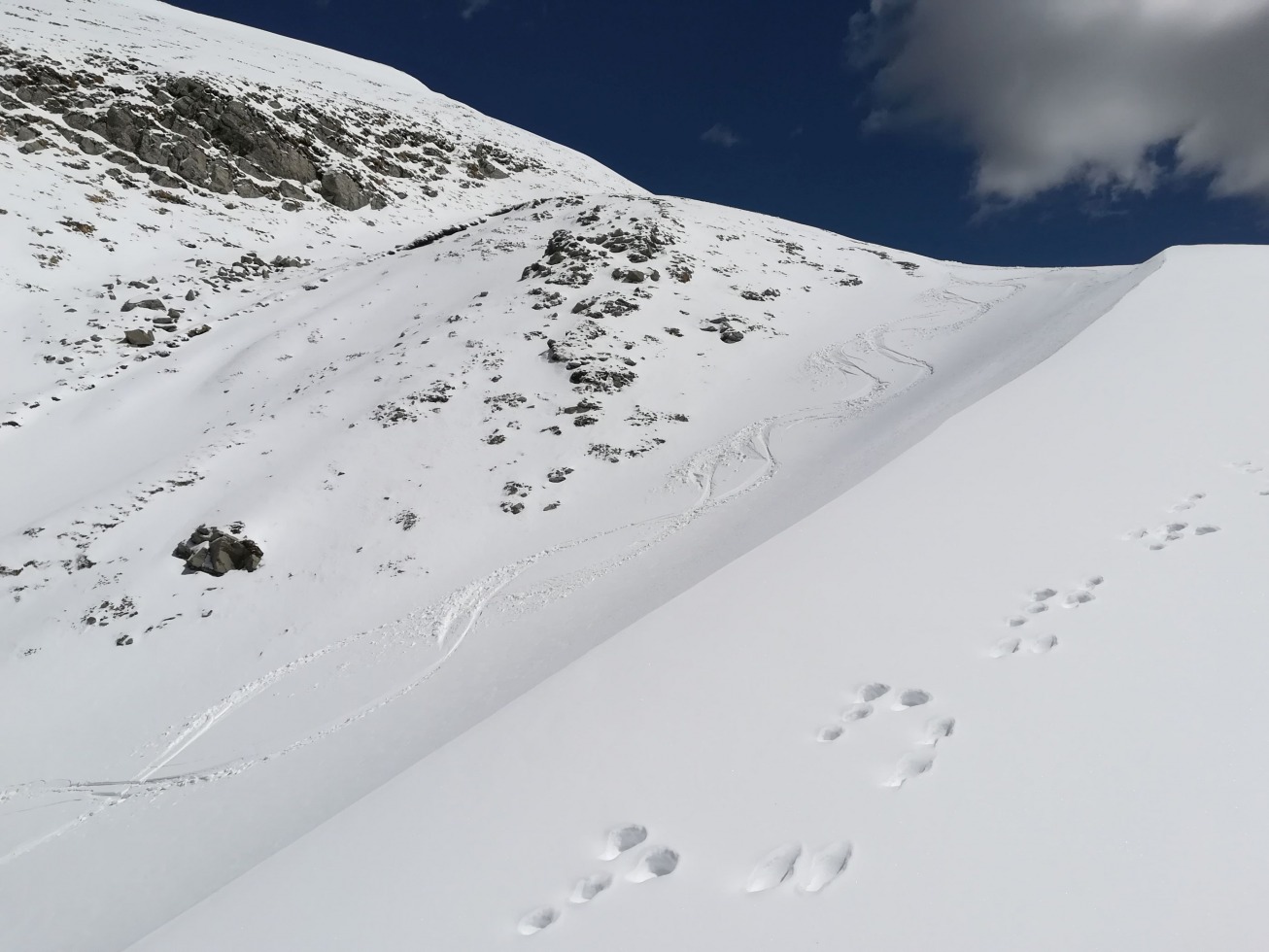 242563-piella-cervi-e-angelo-30-aprile-2019-98.jpg
