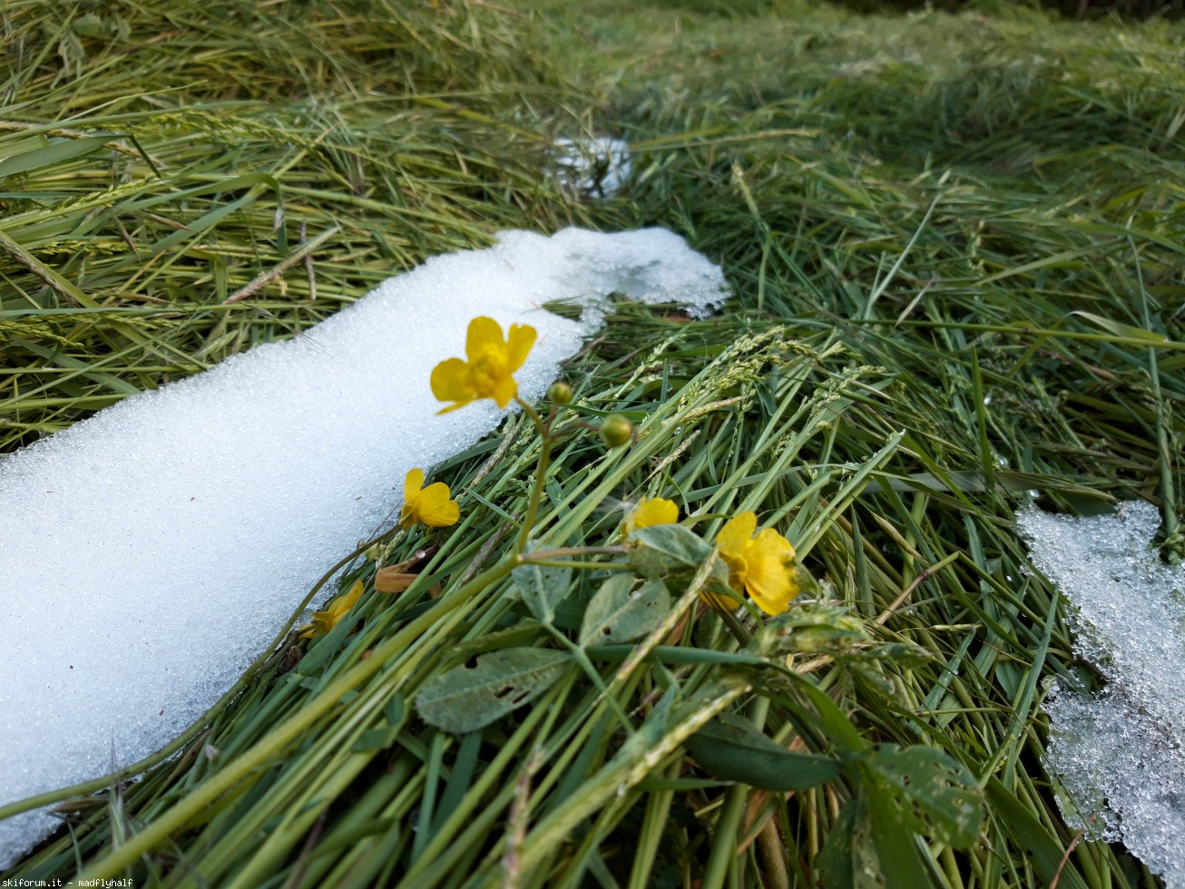 242630-neve-maggio-20190507193317.jpg