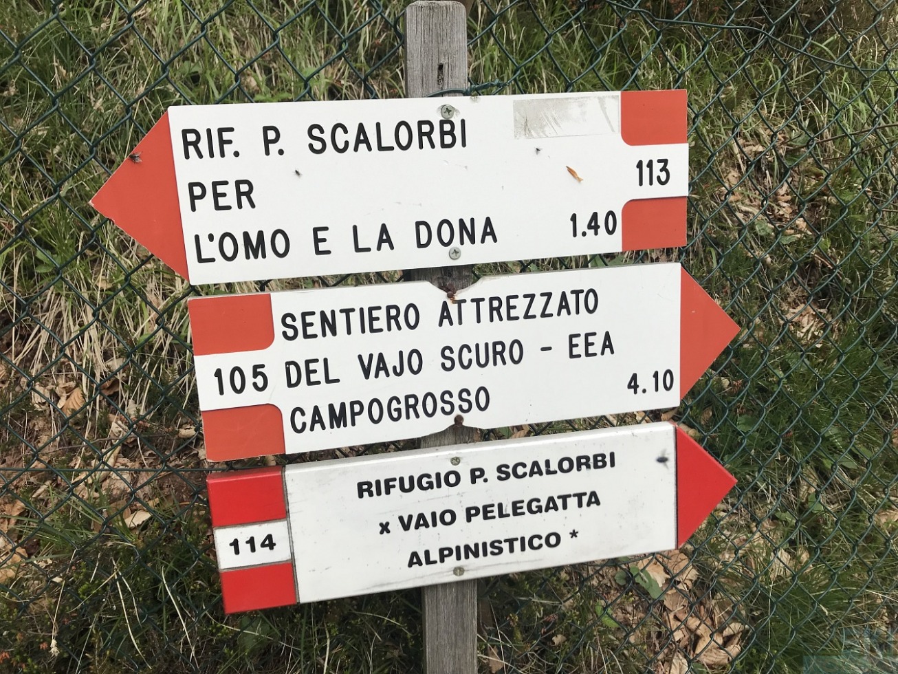 244301-cima-plische-piccoledolomiti-03.jpg