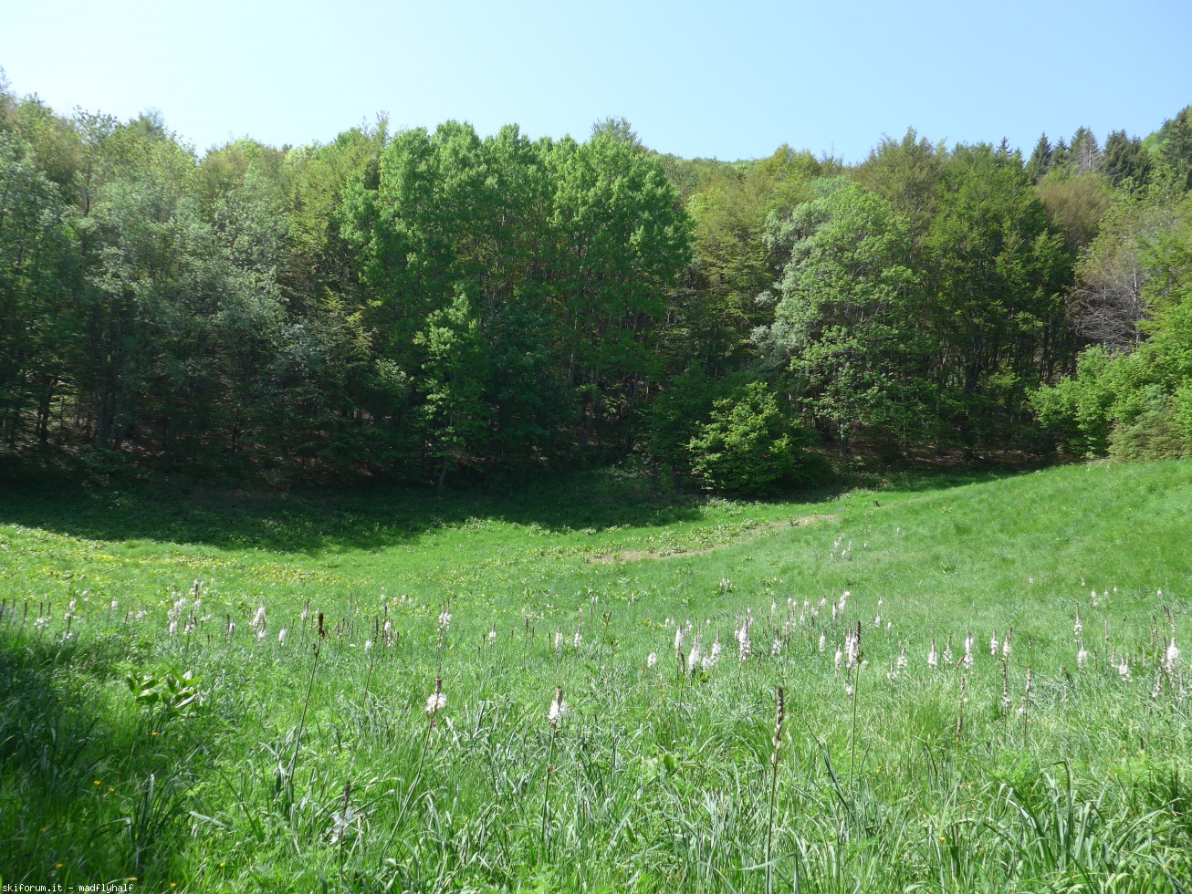 244666-budiara-monte-grande-p1030942.jpg