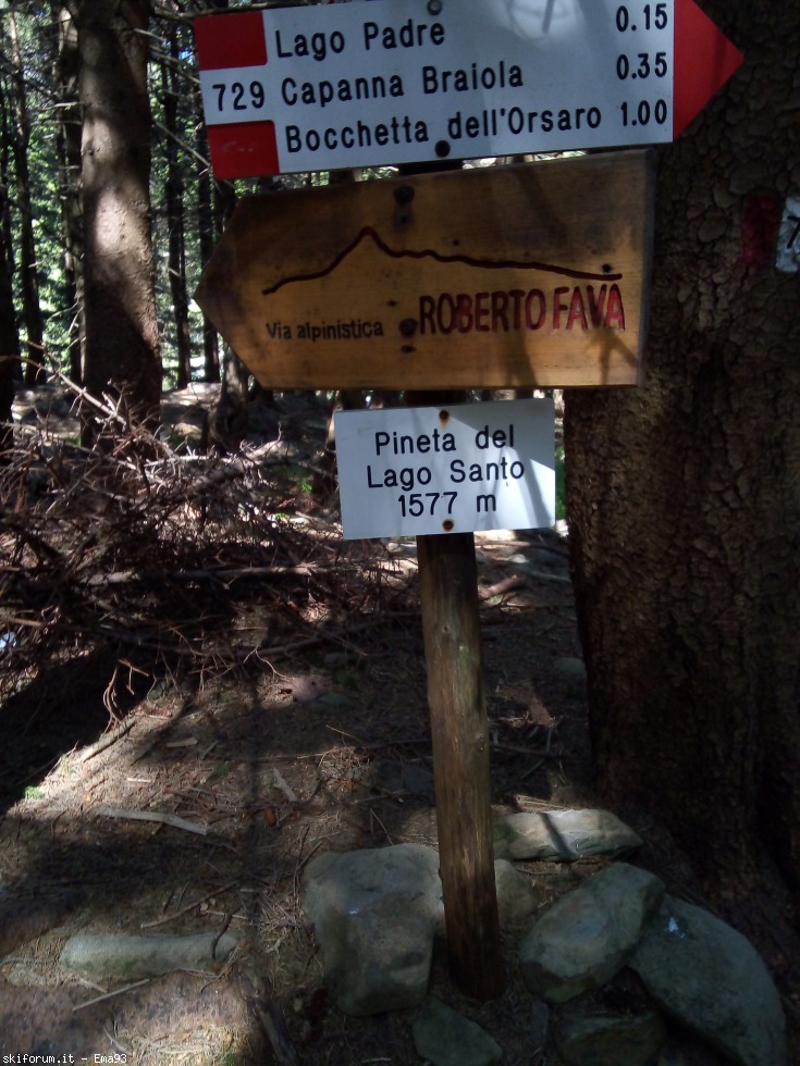 244913-img20190617101424.jpg