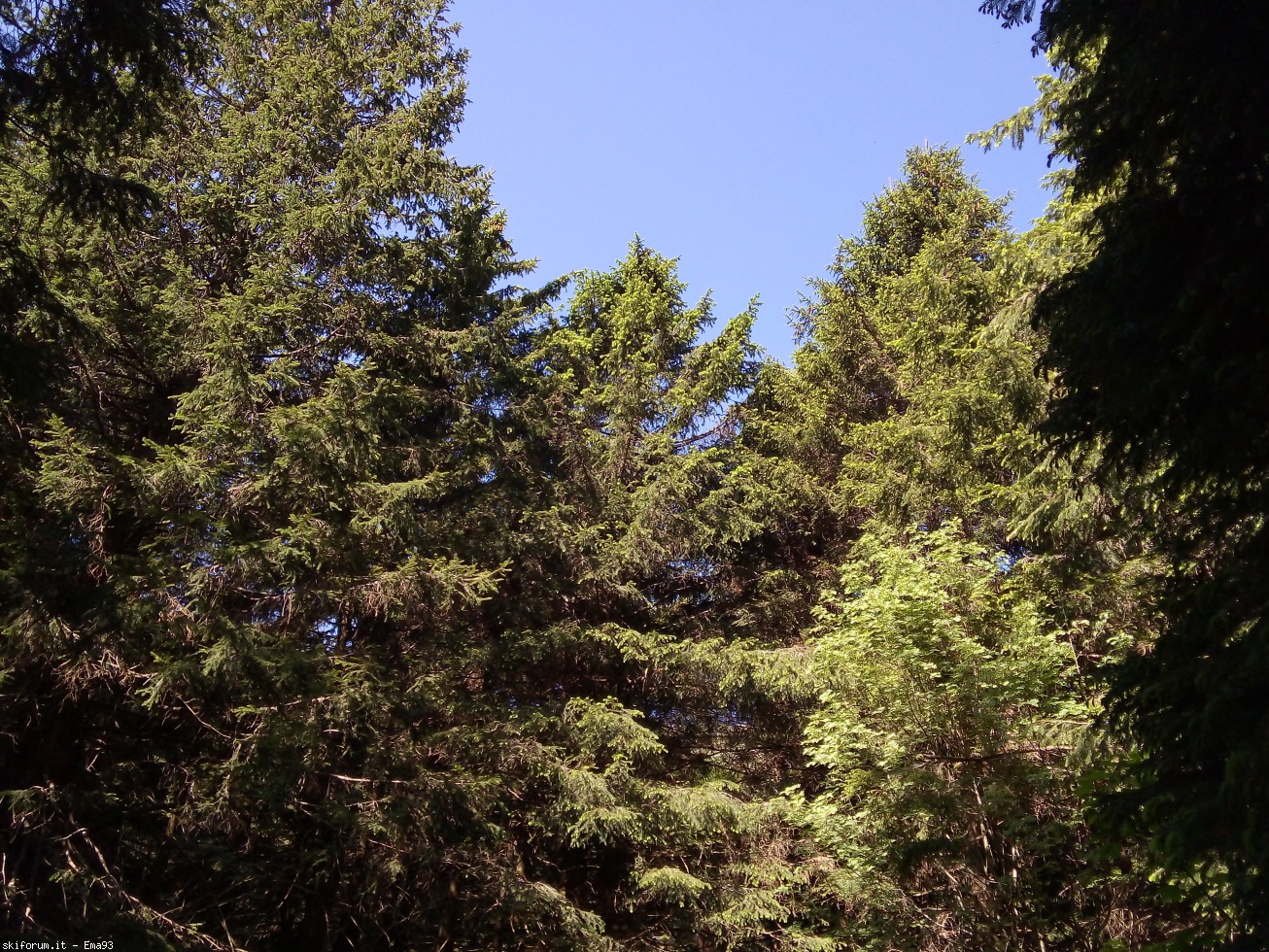 244914-img20190617101521.jpg