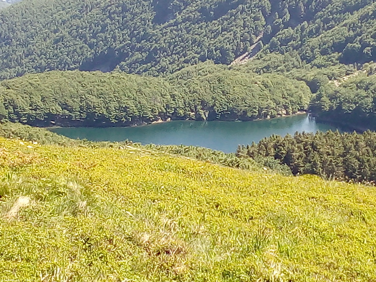 244918-img20190617105412.jpg