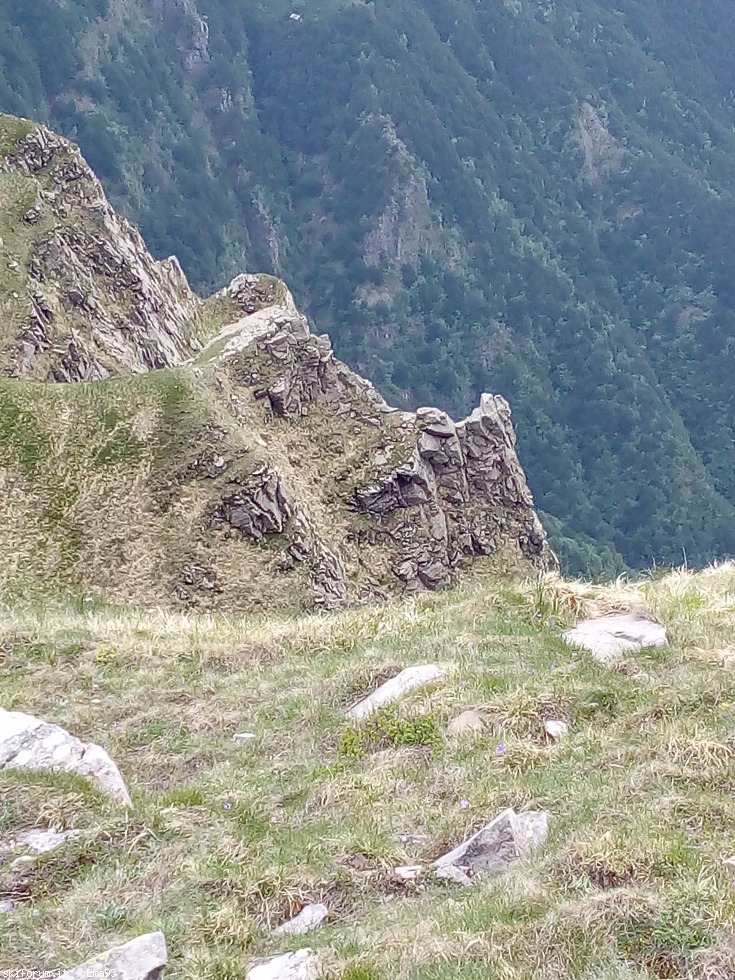 244926-img20190617115607.jpg