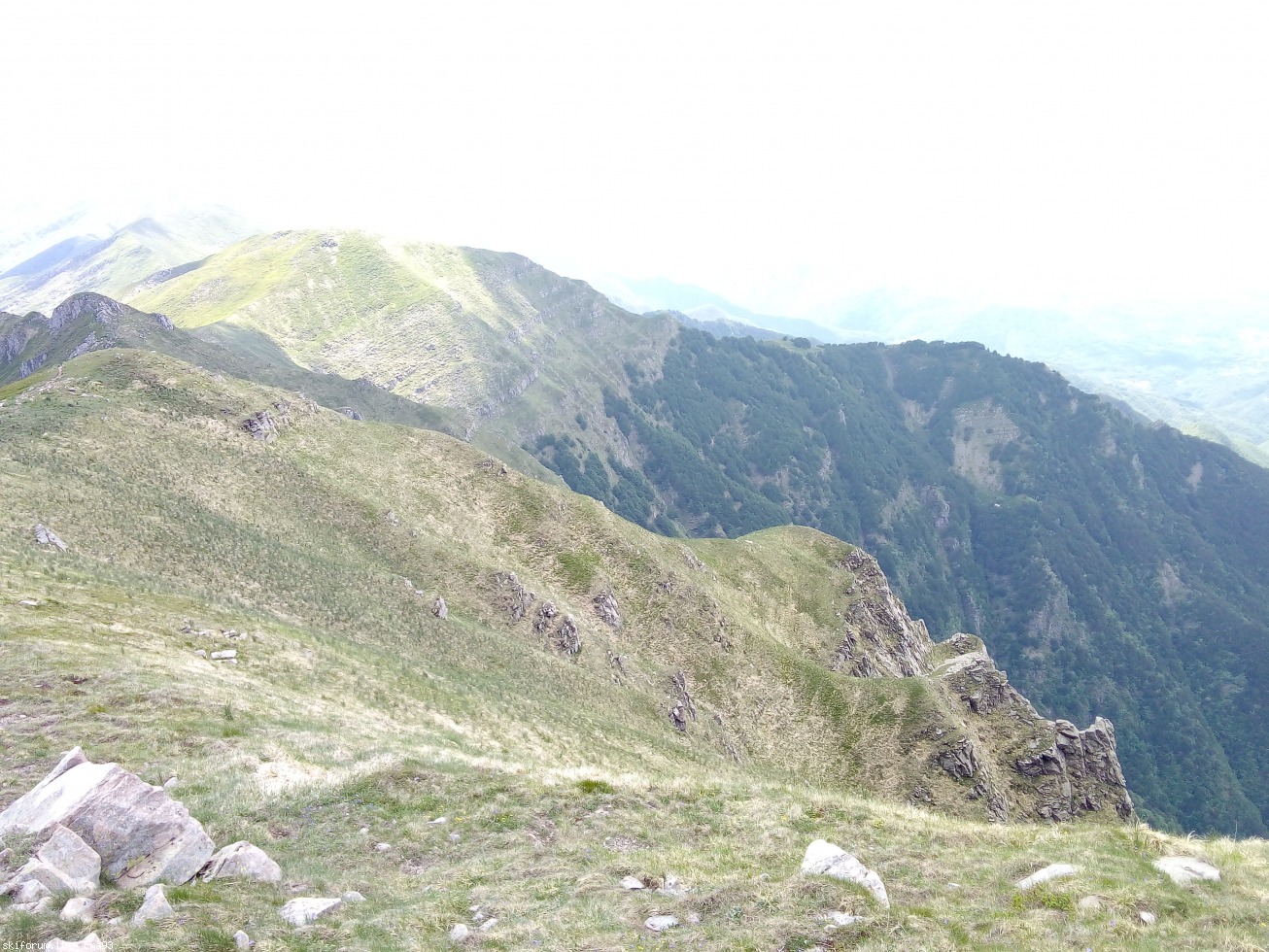 244927-img20190617115624.jpg
