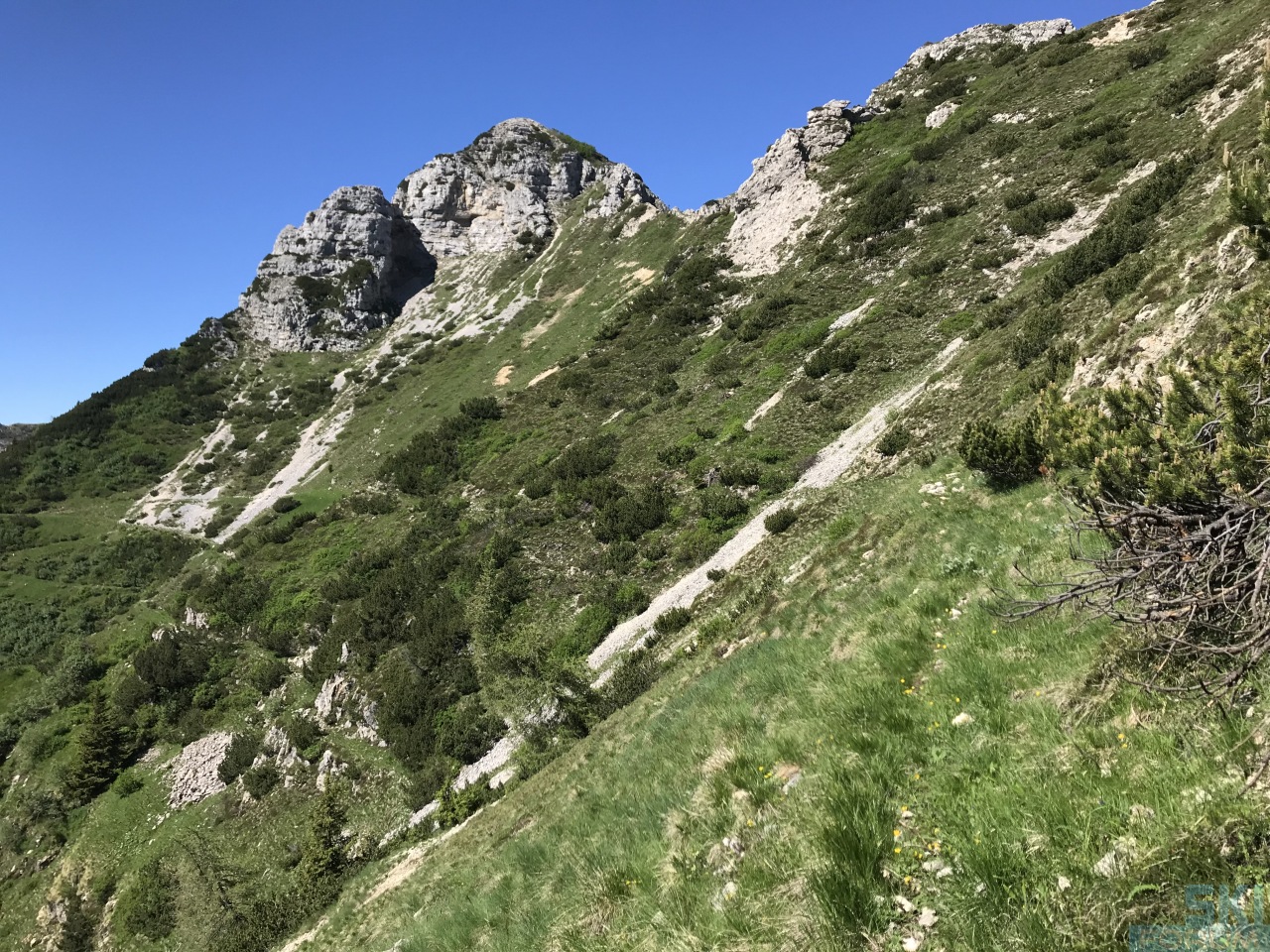 245540-pruche-sorapache-pasubio-22.jpg