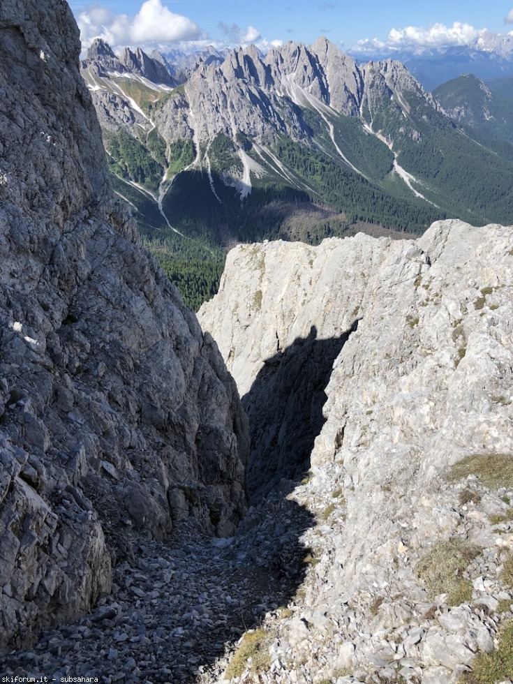 245732-peralba-img8707.jpg