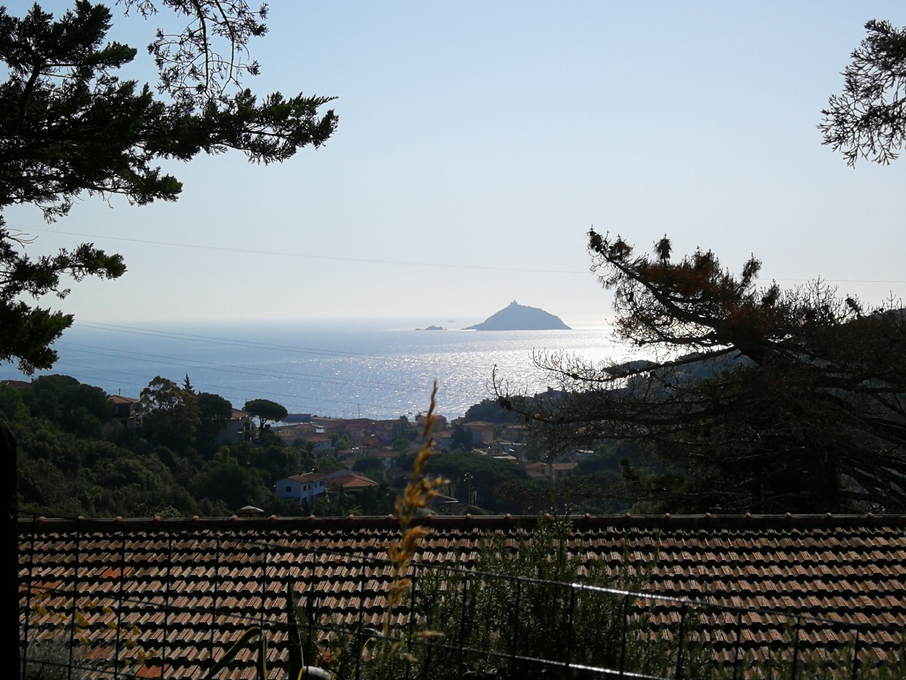 245924-elba1-img20190618084442.jpg