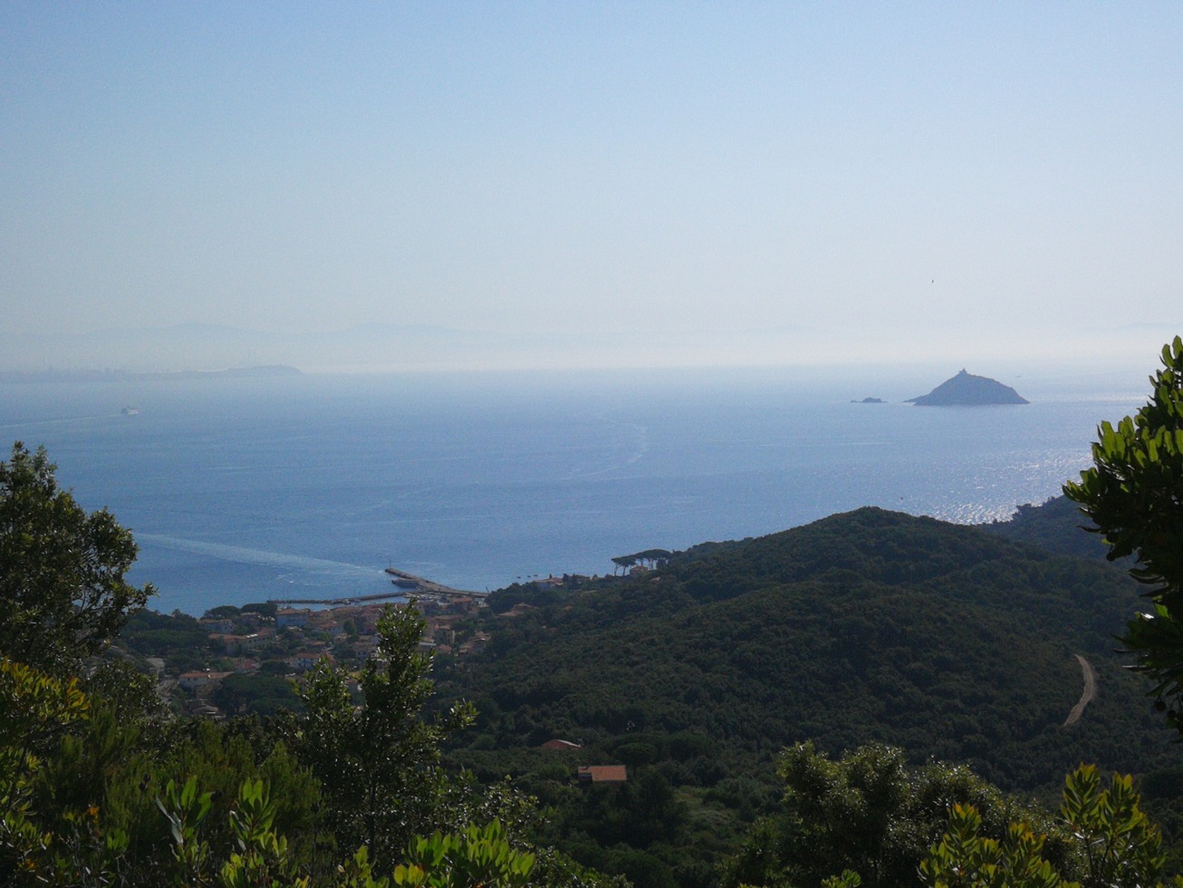 245925-elba1-img20190618090703.jpg