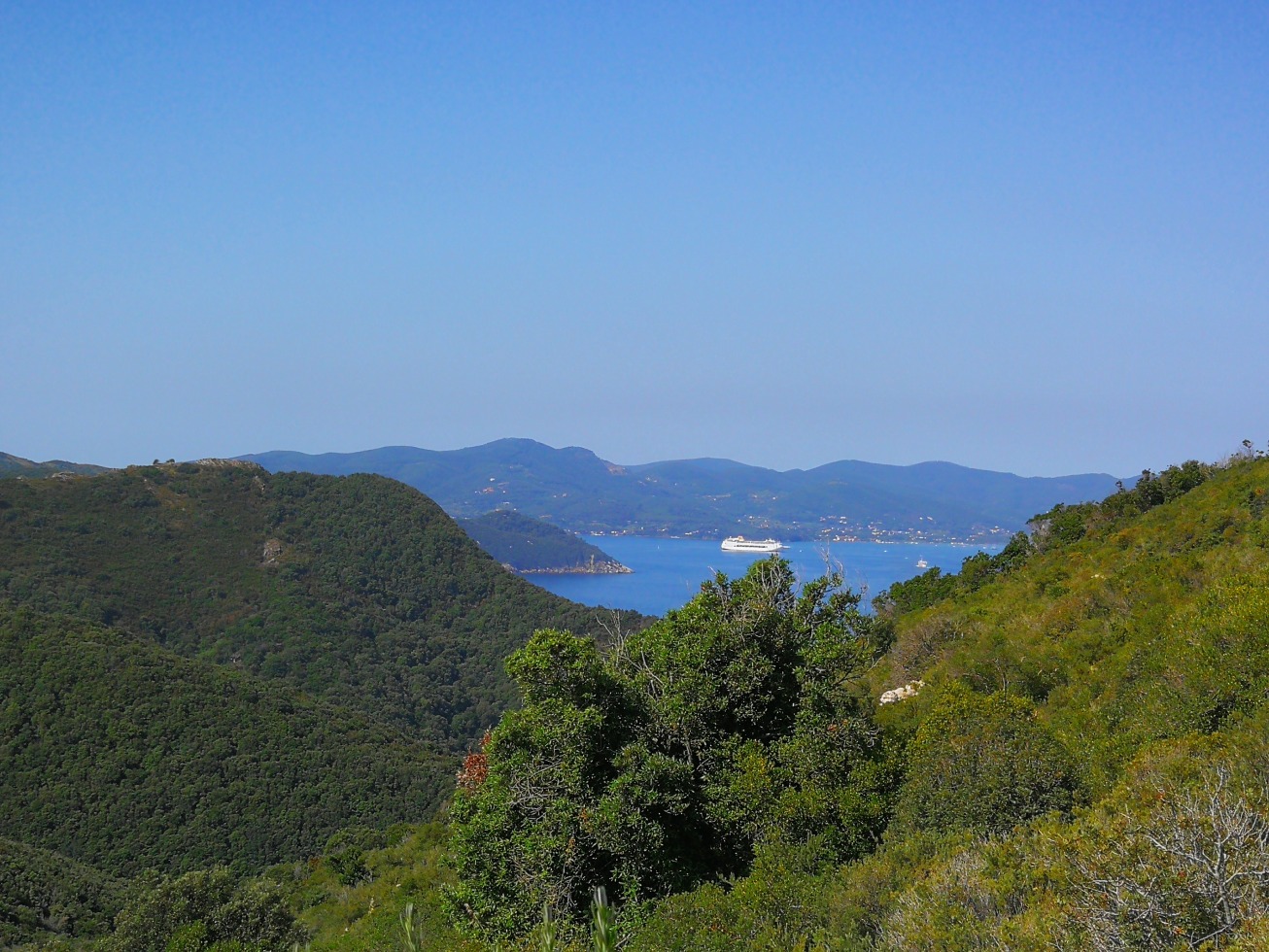 245929-elba1-img20190618095700.jpg