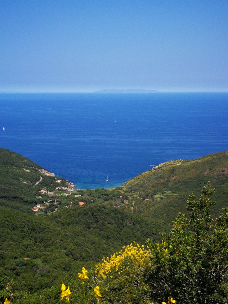 245930-elba1-img20190618105741.jpg