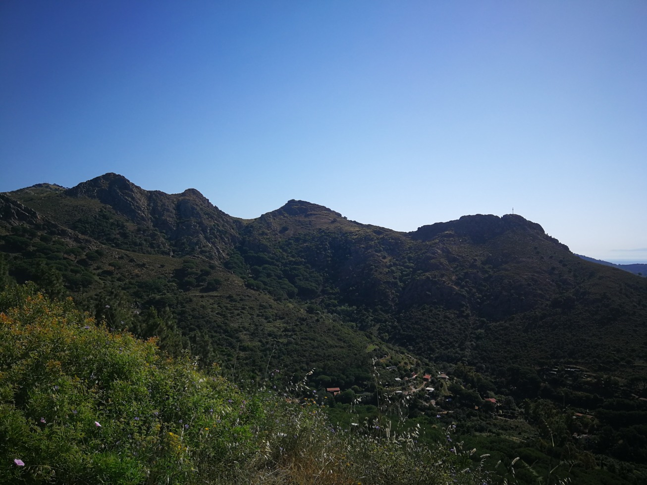 246085-elba-giorno-2-img20190619094047.jpg