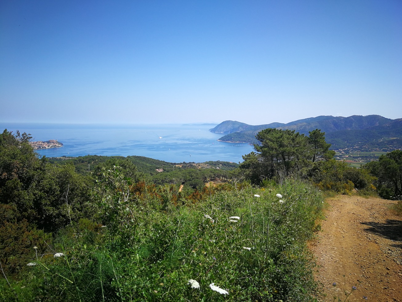 246088-elba-giorno-2-img20190619112604.jpg