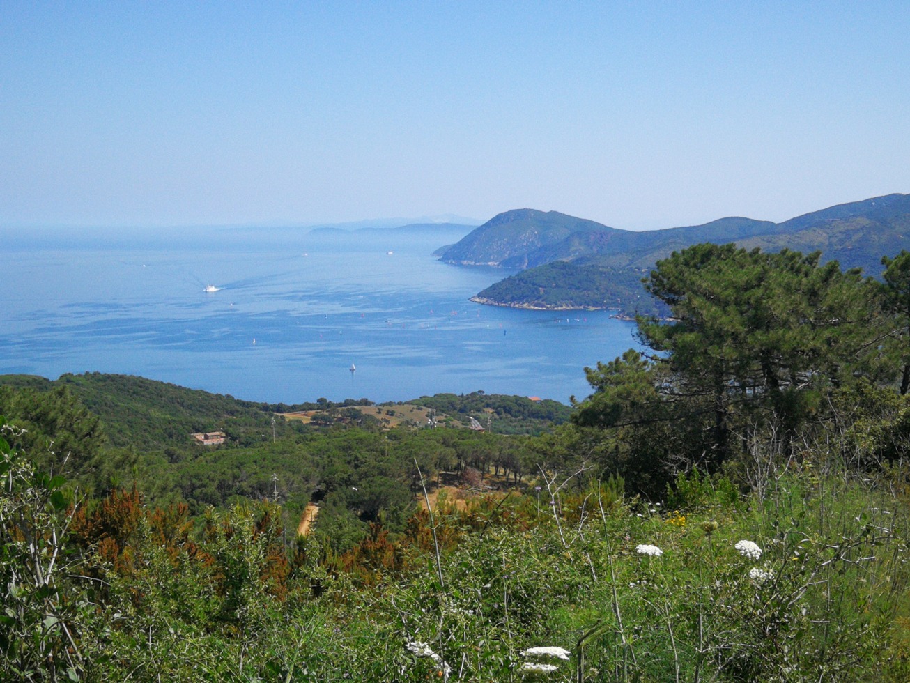 246089-elba-giorno-2-img20190619112607.jpg