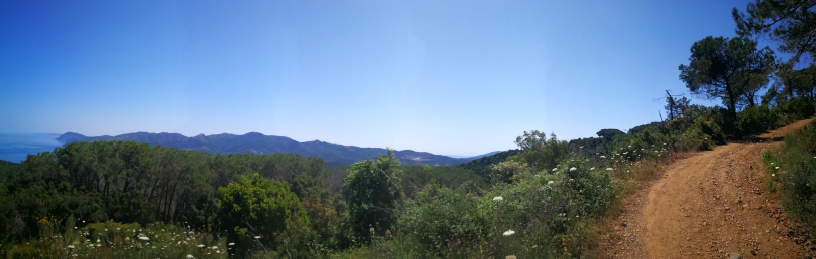 246090-elba-giorno-2-img20190619112805.jpg