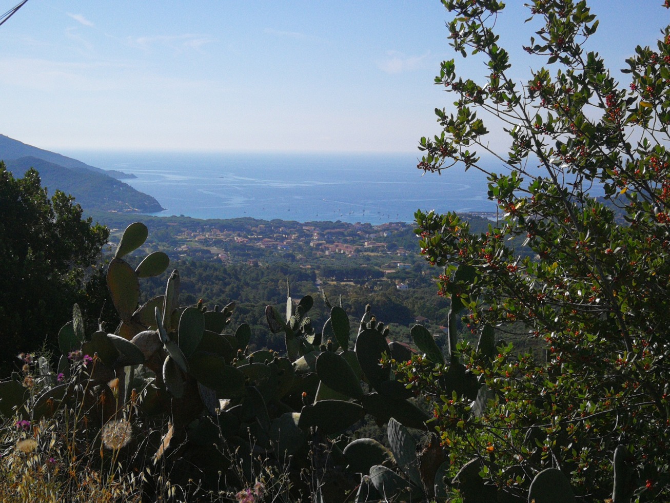 246149-elba-giorno-3-img20190620090222.jpg