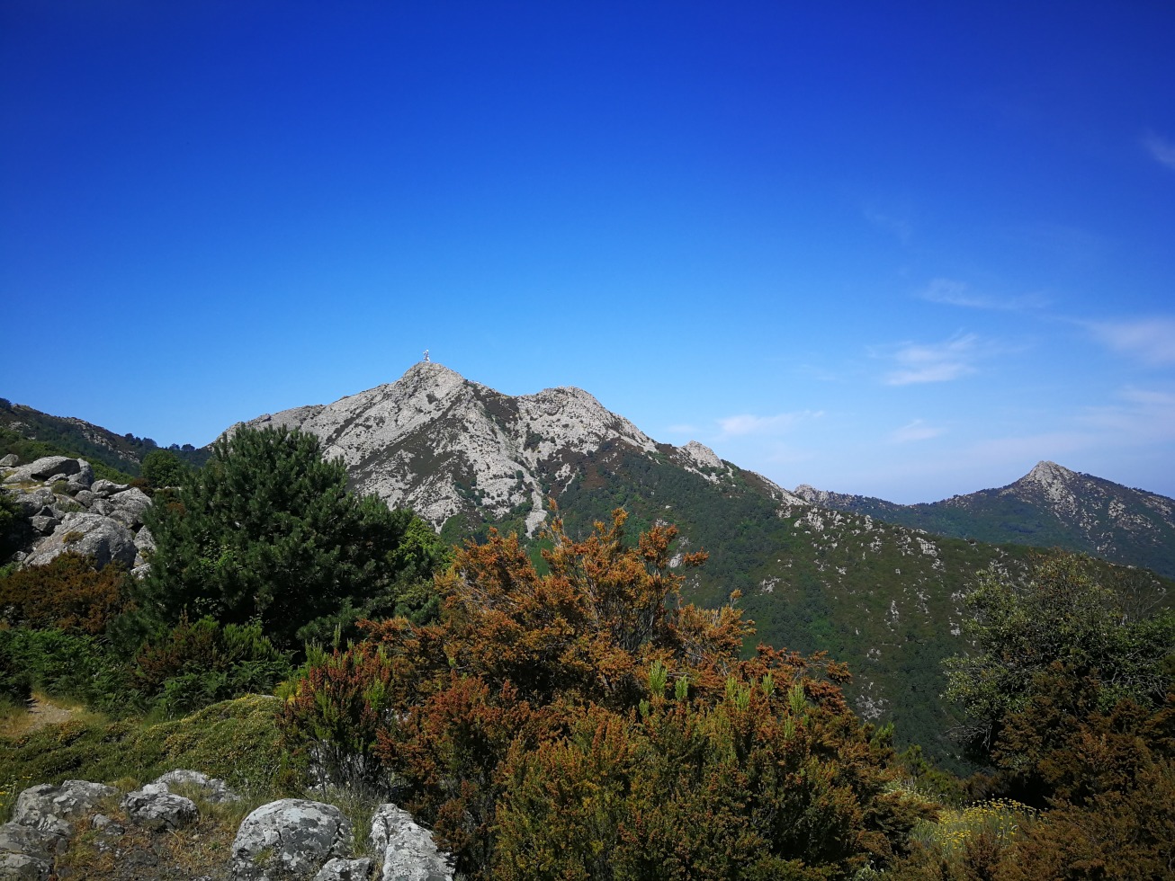 246150-elba-giorno-3-img20190620104055.jpg