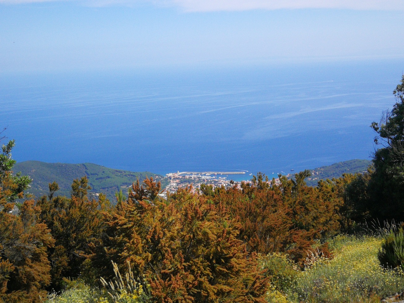 246151-elba-giorno-3-img20190620104106.jpg