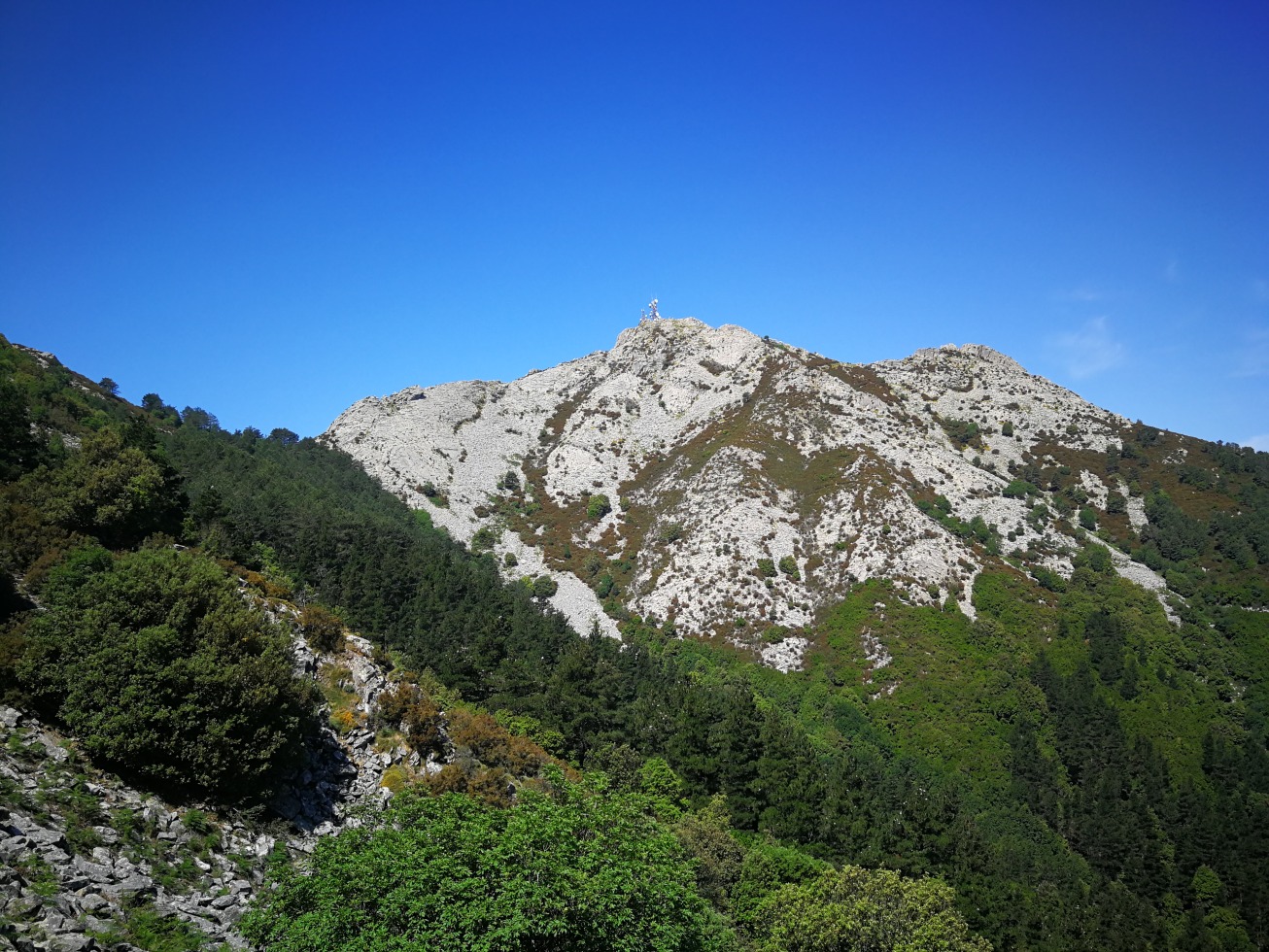 246153-elba-giorno-3-img20190620110057.jpg