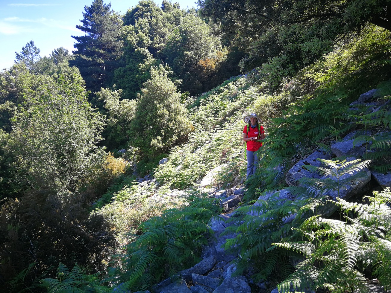 246154-elba-giorno-3-img20190620110101.jpg