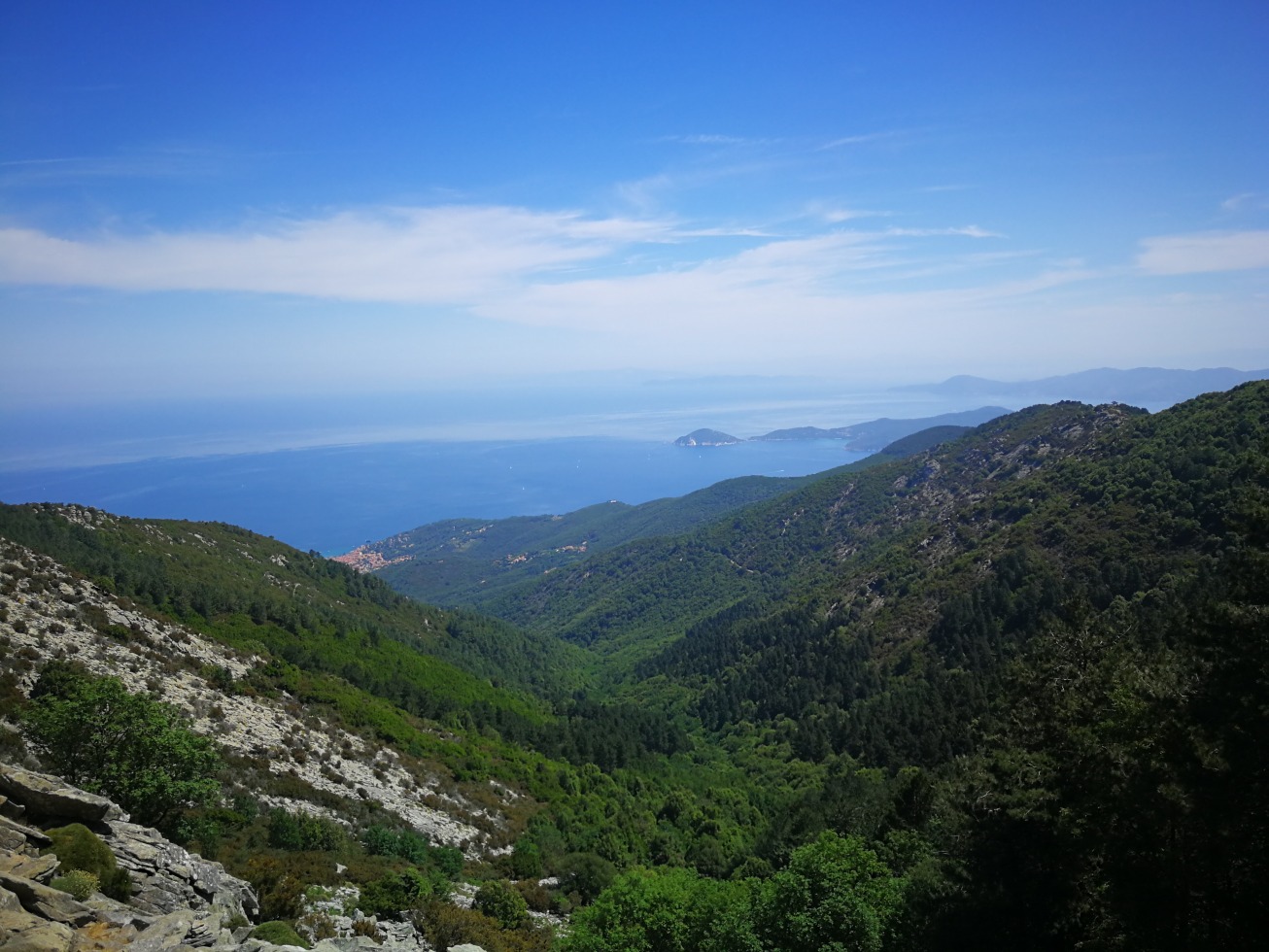 246155-elba-giorno-3-img20190620113605.jpg