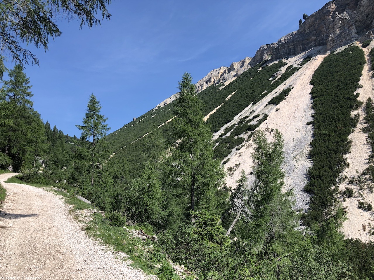 246729-sennes-img8826.jpg