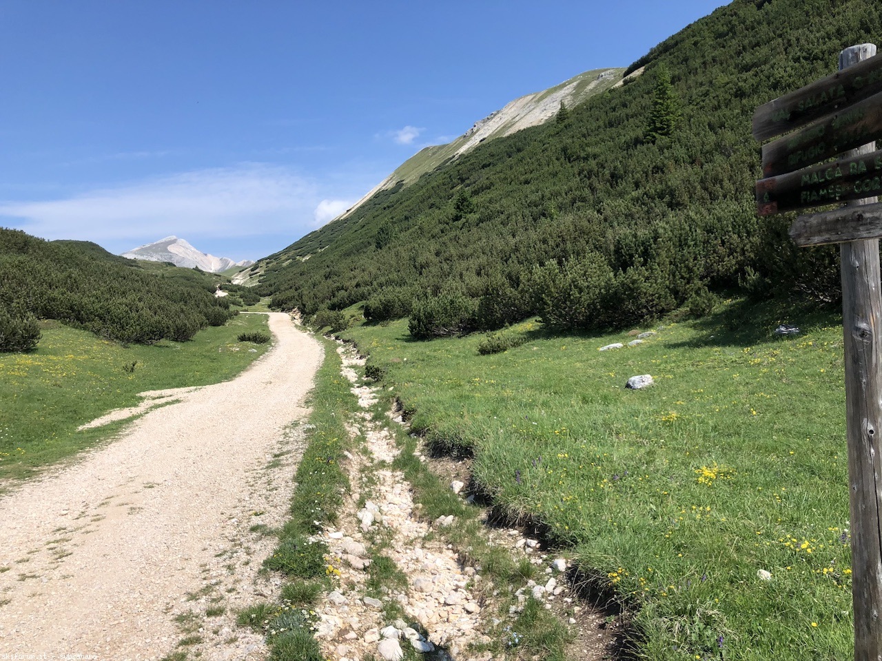 246732-sennes-img8829.jpg