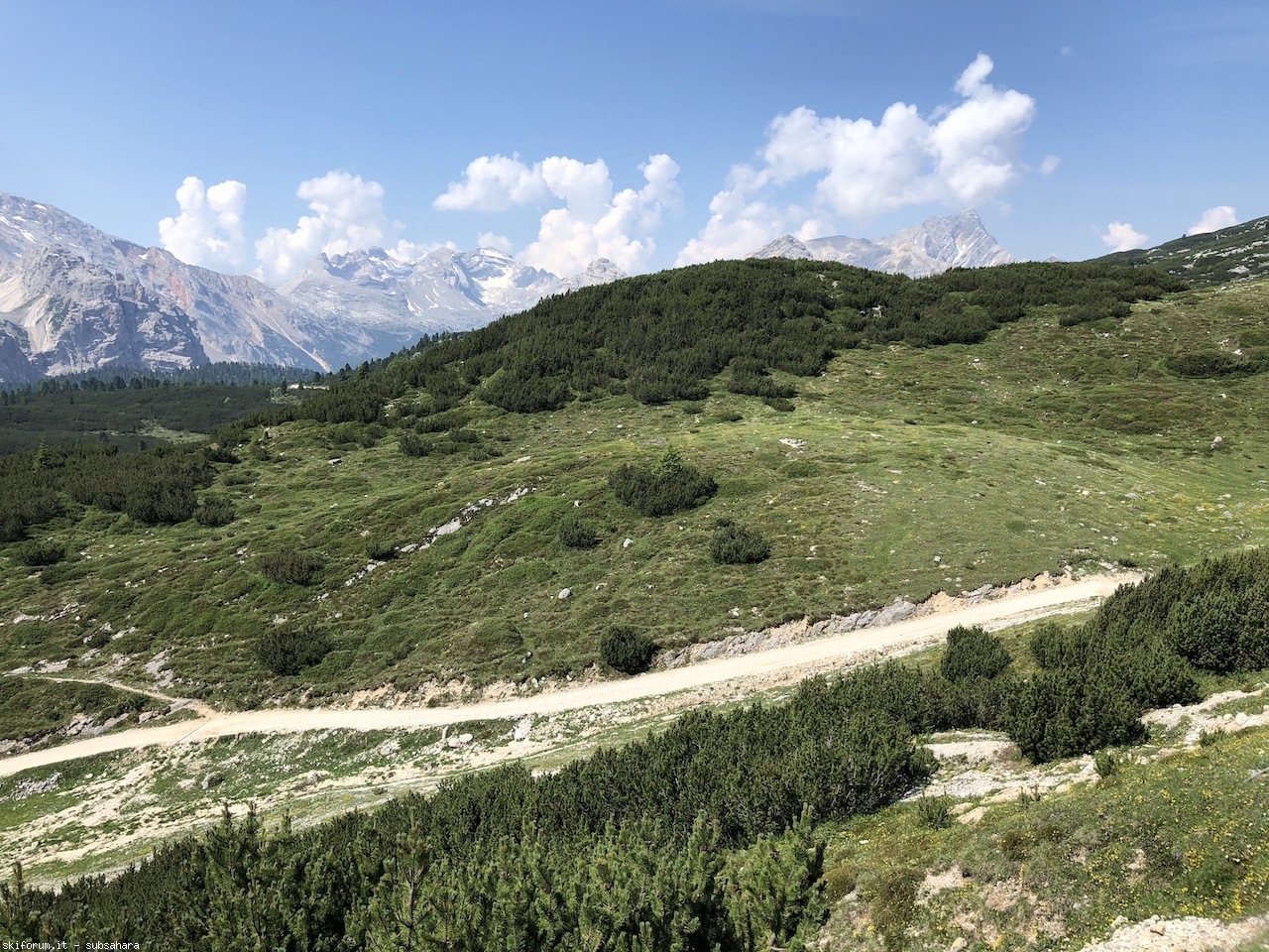 246738-sennes-img8835.jpg
