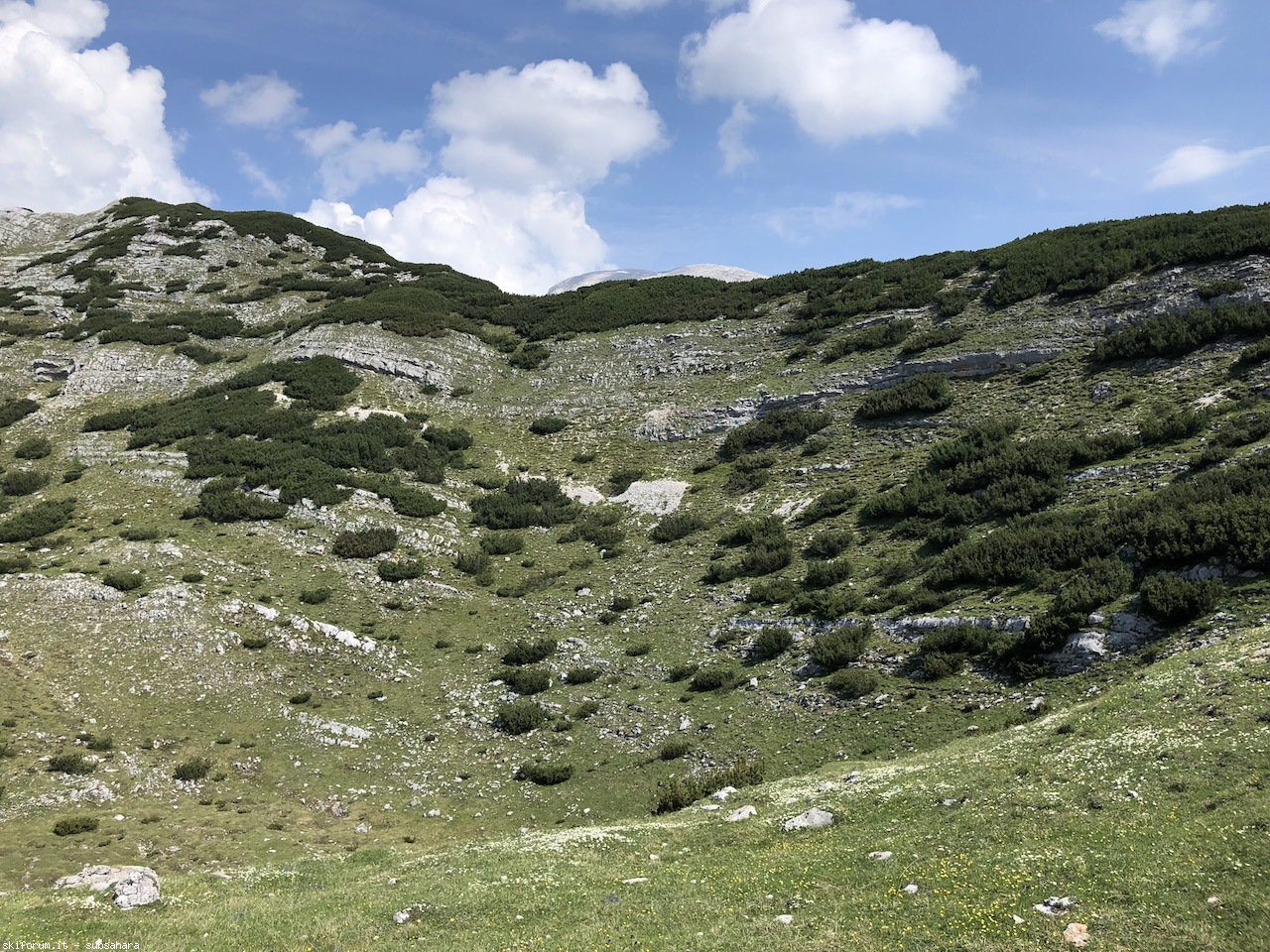 246739-sennes-img8836.jpg
