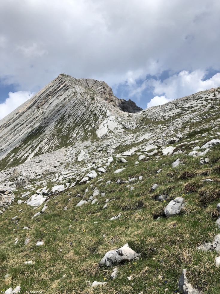246746-sennes-img8846.jpg