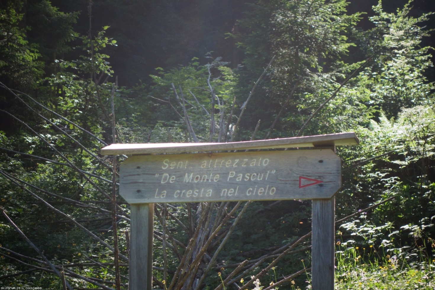 247033-dsc07336.jpg