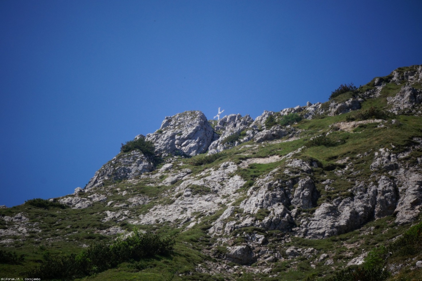 247047-dsc07417.jpg