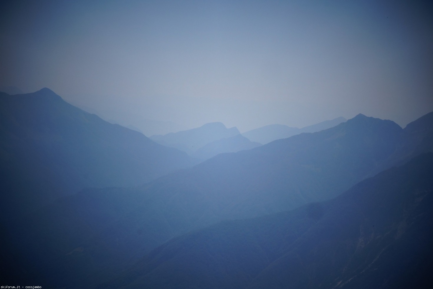 247061-dsc07452.jpg