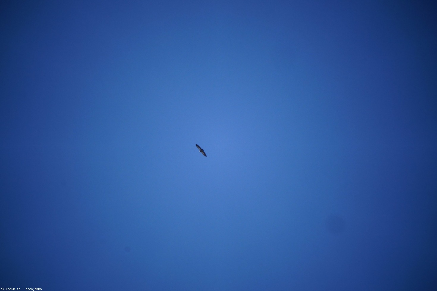 247078-dsc07521.jpg