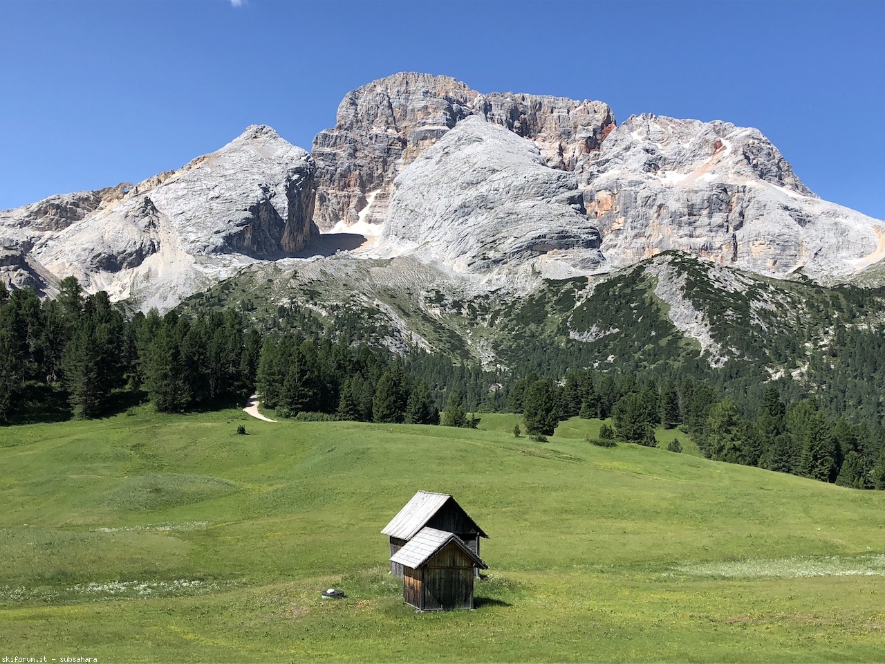 247515-vallandro-img8912.jpg