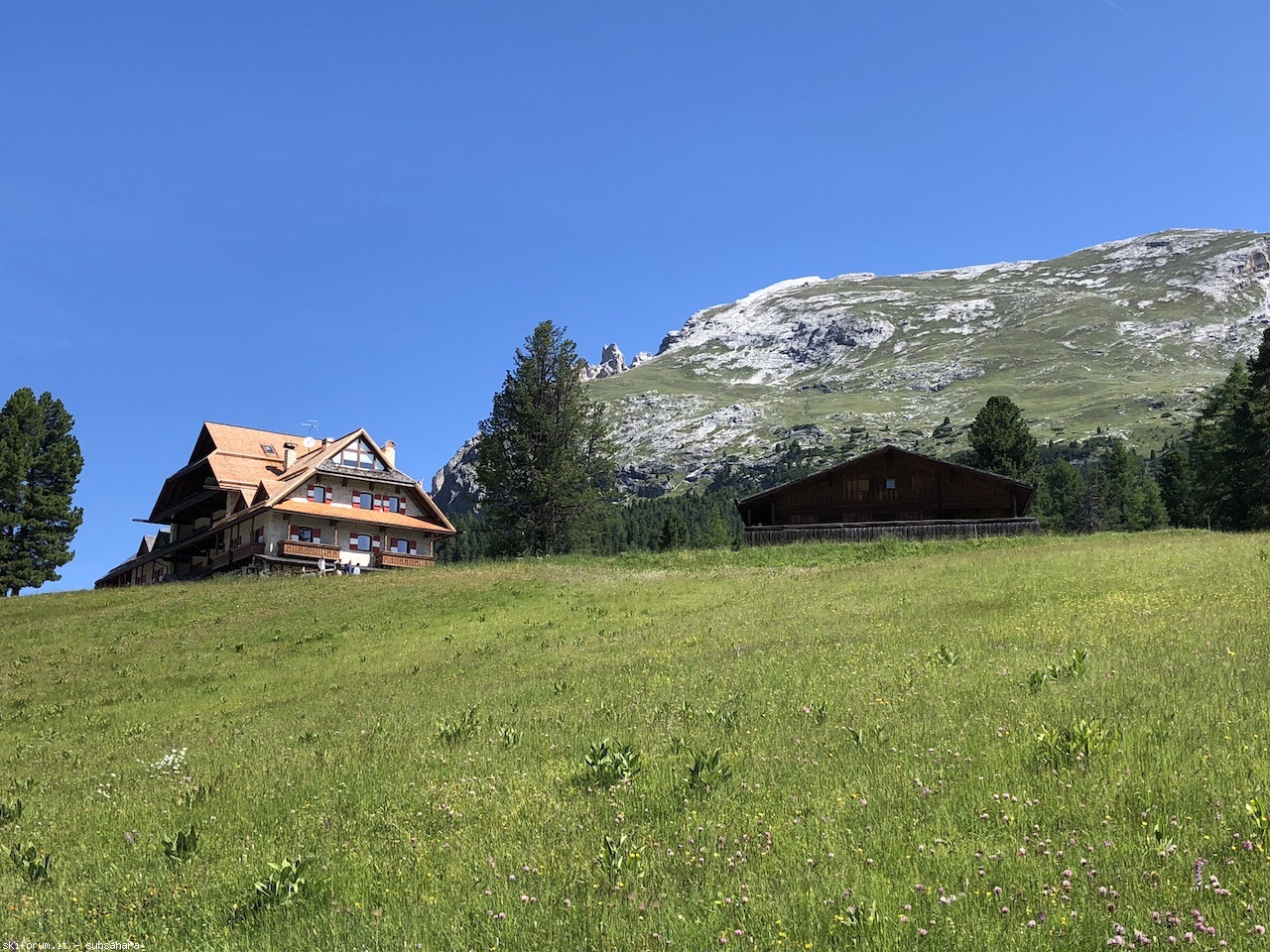 247516-vallandro-img8913.jpg