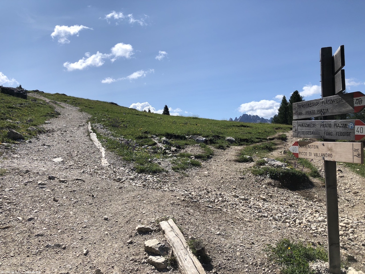 247521-vallandro-img8920.jpg