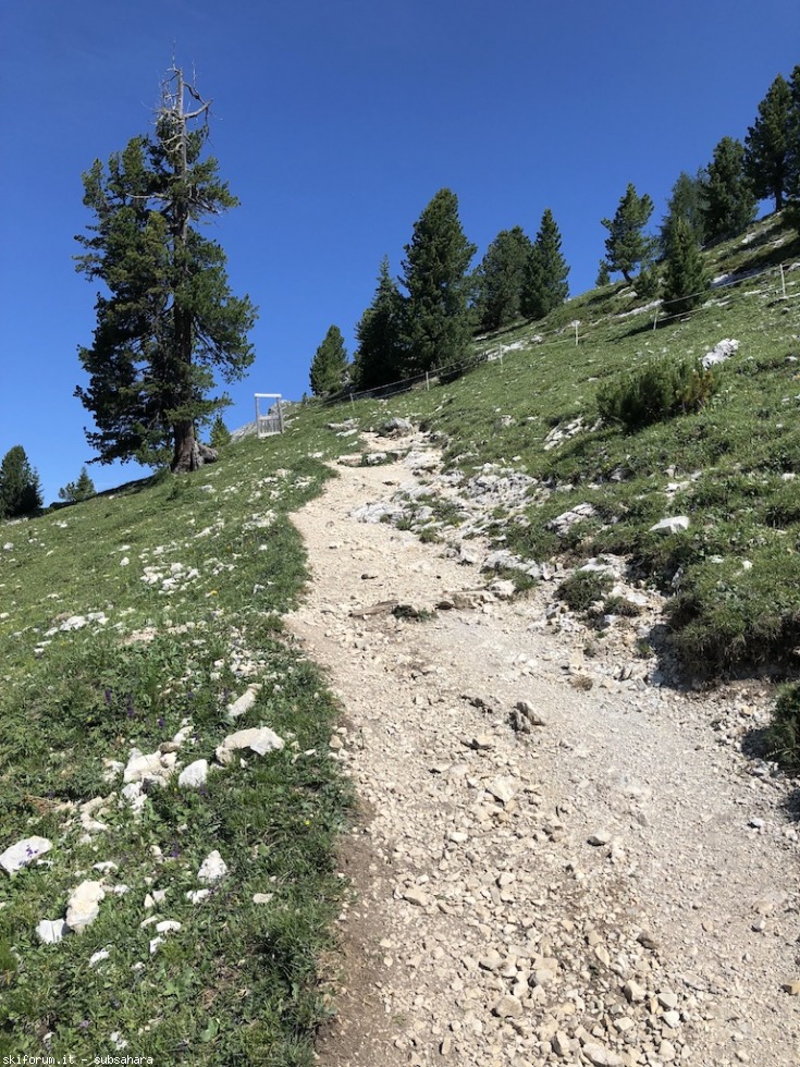 247522-vallandro-img8922.jpg