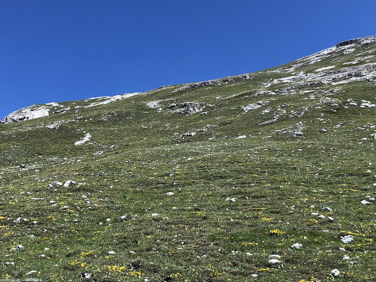 247529-vallandro-img8929.jpg