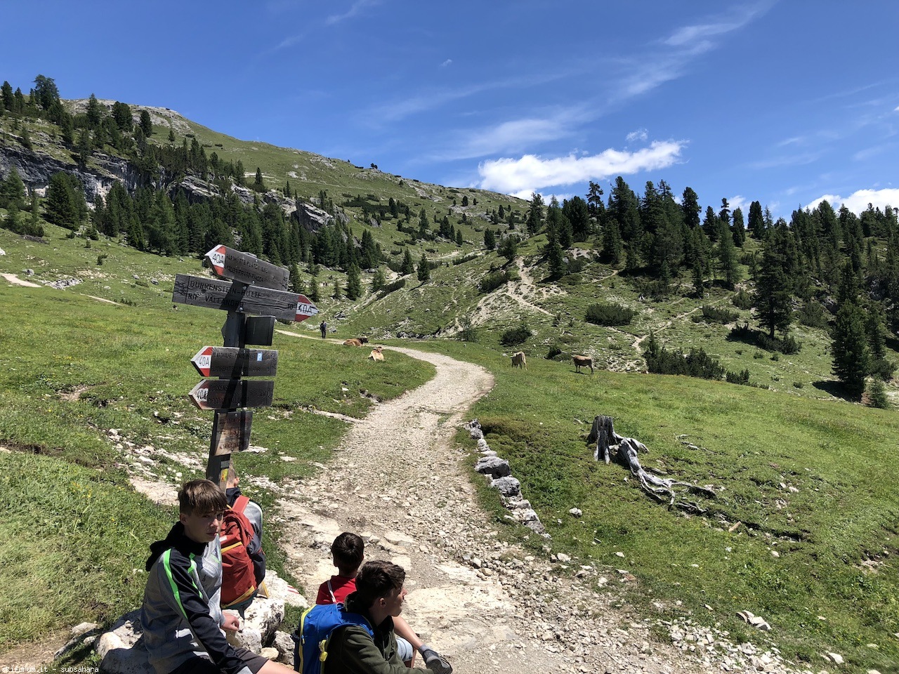 247560-vallandro-img8972.jpg