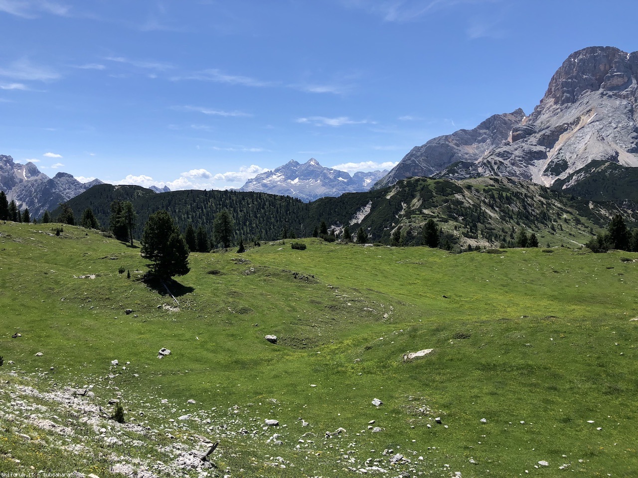 247561-vallandro-img8973.jpg