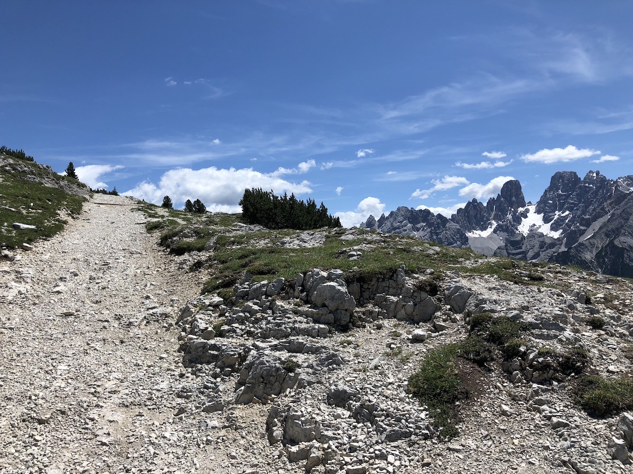 247563-vallandro-img8975.jpg