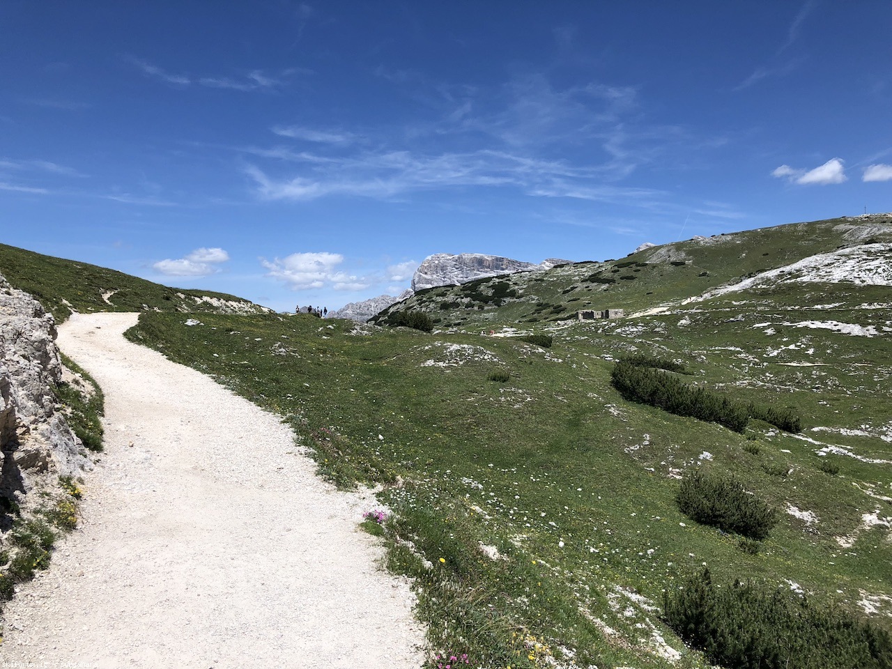 247565-vallandro-img8977.jpg