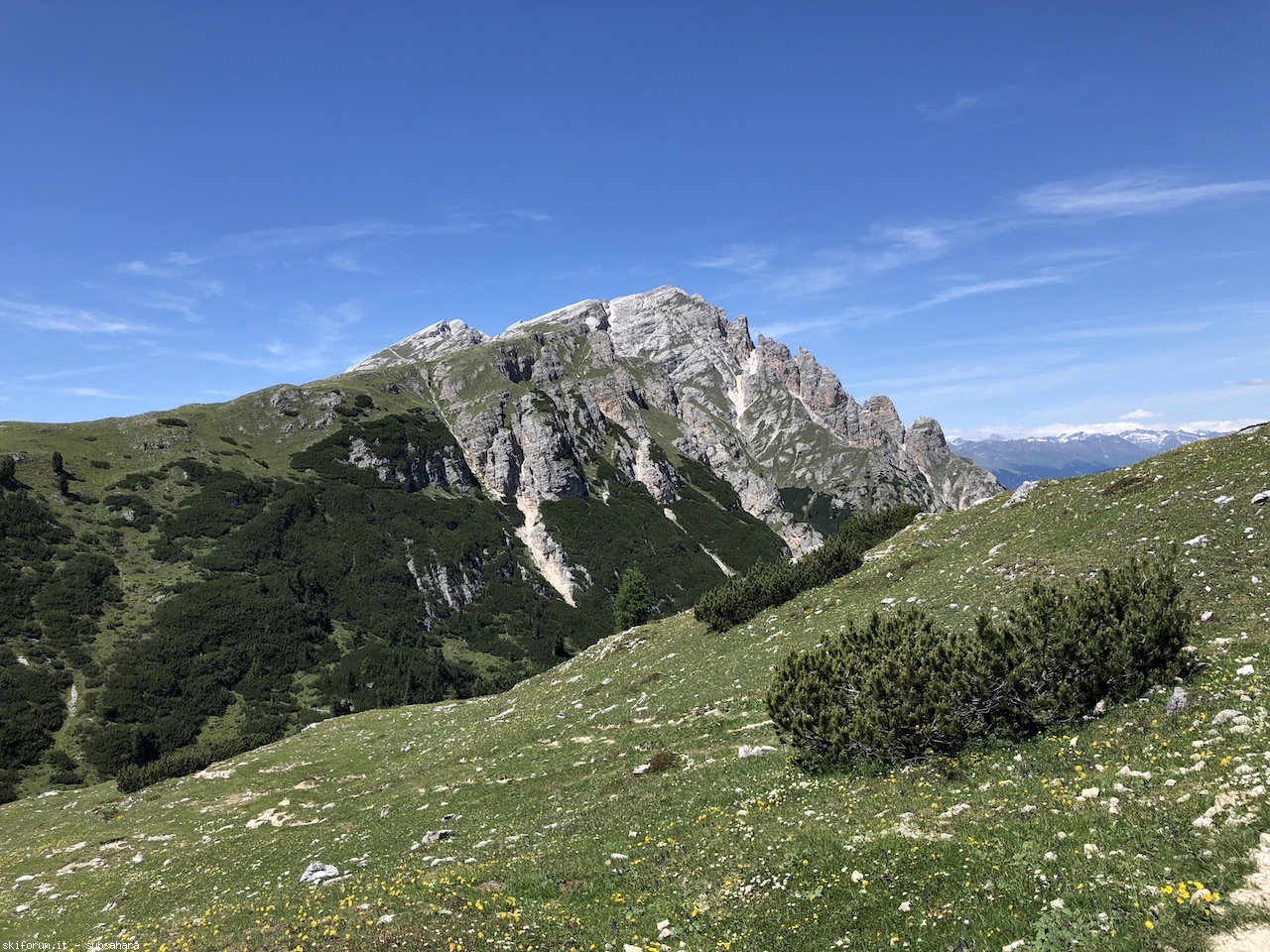 247569-vallandro-img8983.jpg